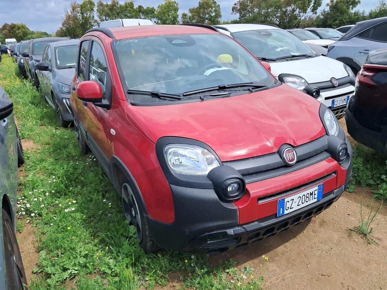foto